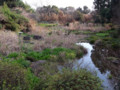 20110309163120