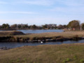 20110309165818