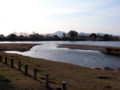 20110309165903