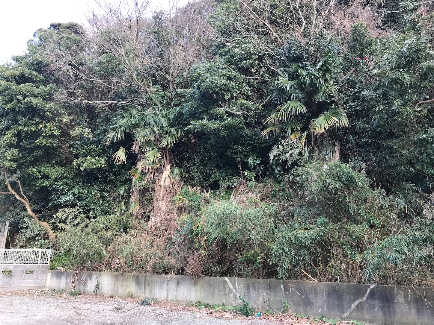 f:id:architect-wife:20210106222851j:image