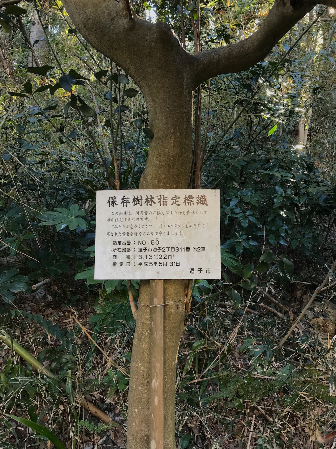 f:id:architect-wife:20210128140653j:image