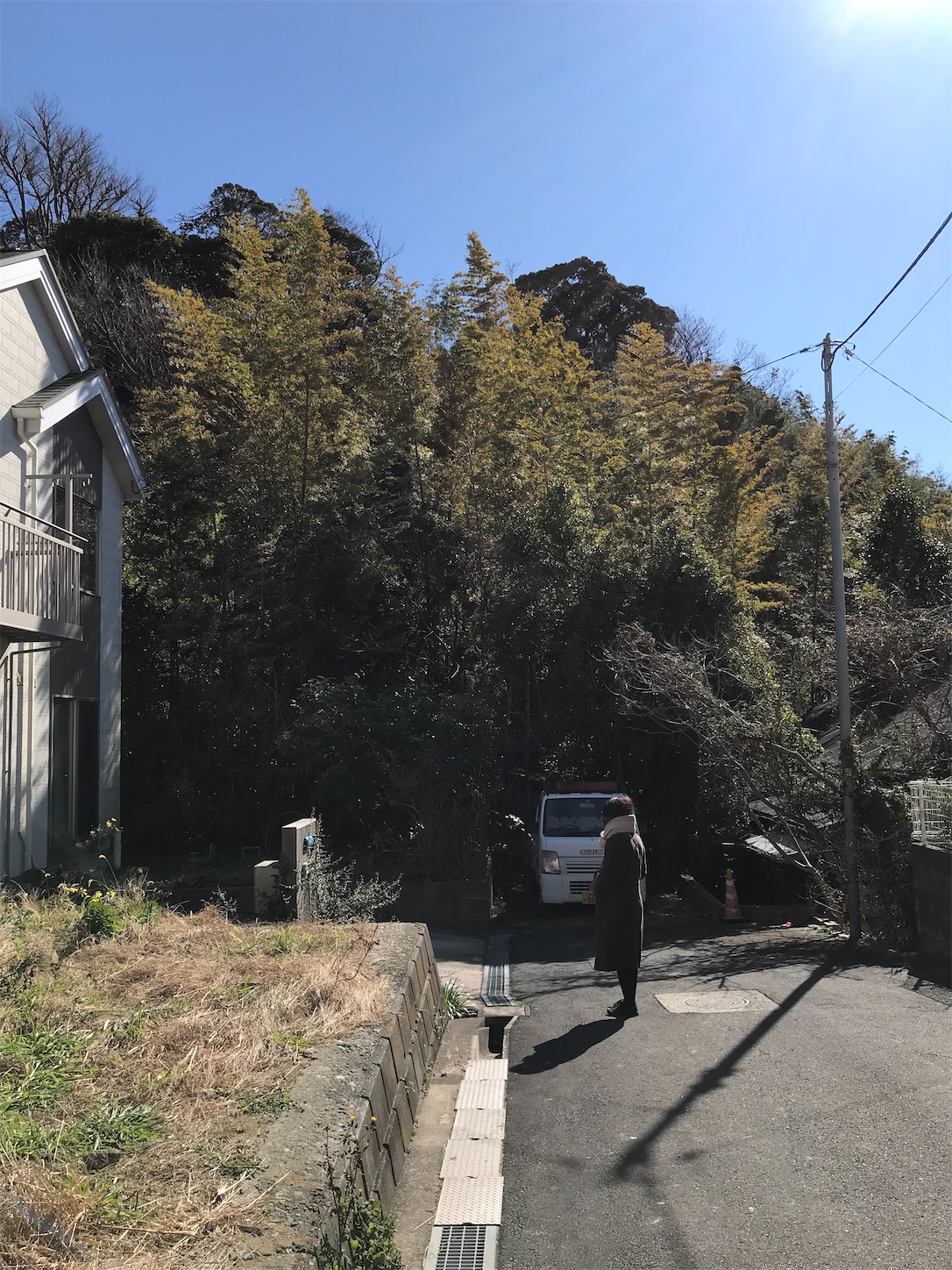 f:id:architect-wife:20210128140719j:image