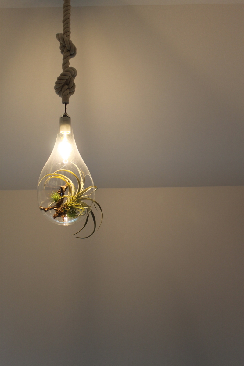 f:id:architecter:20190506130852j:plain f:id:architecter:20190506130852j:plain