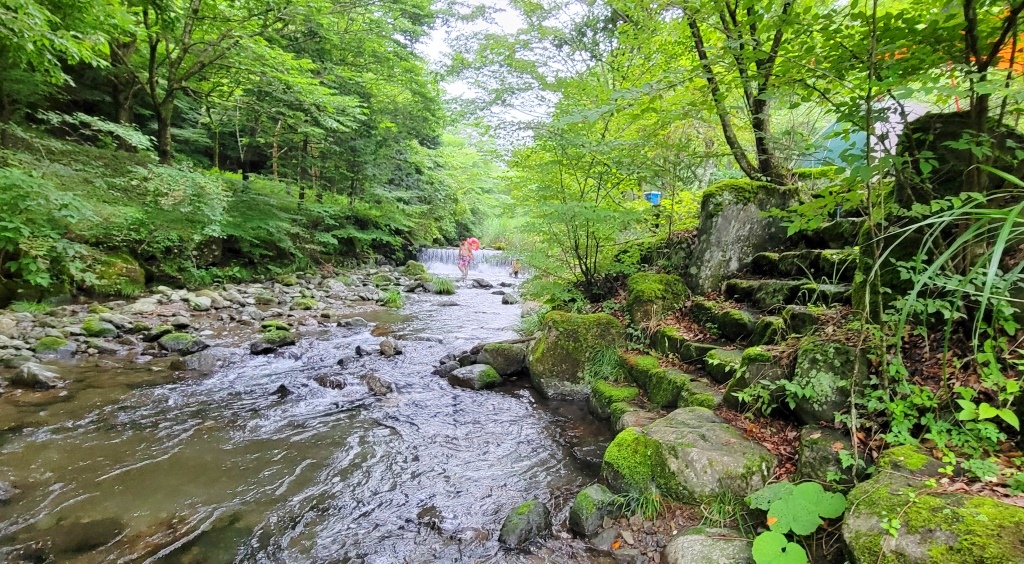 木陰の下で浅瀬の川遊びができる穴場キャンプ場 天子の森オート