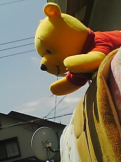 f:id:arco:20060729121059j:image