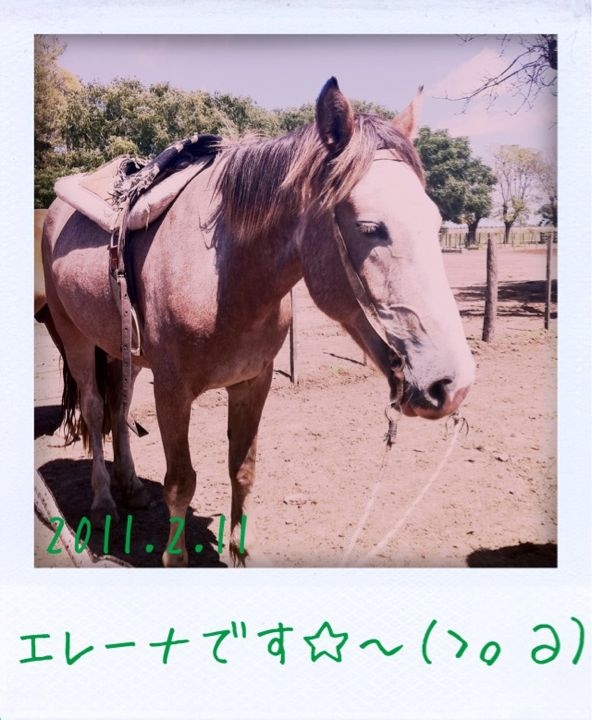 f:id:arco_iris_b:20110212093402j:image:w300