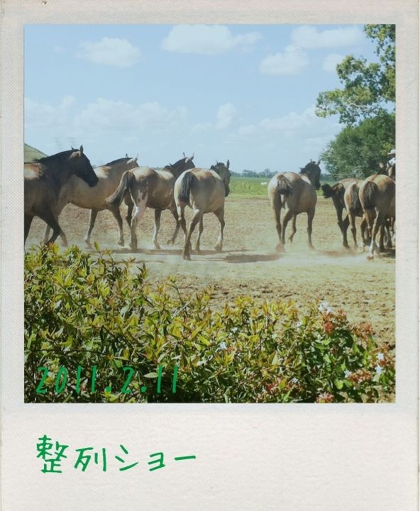 f:id:arco_iris_b:20110212093858j:image:w300