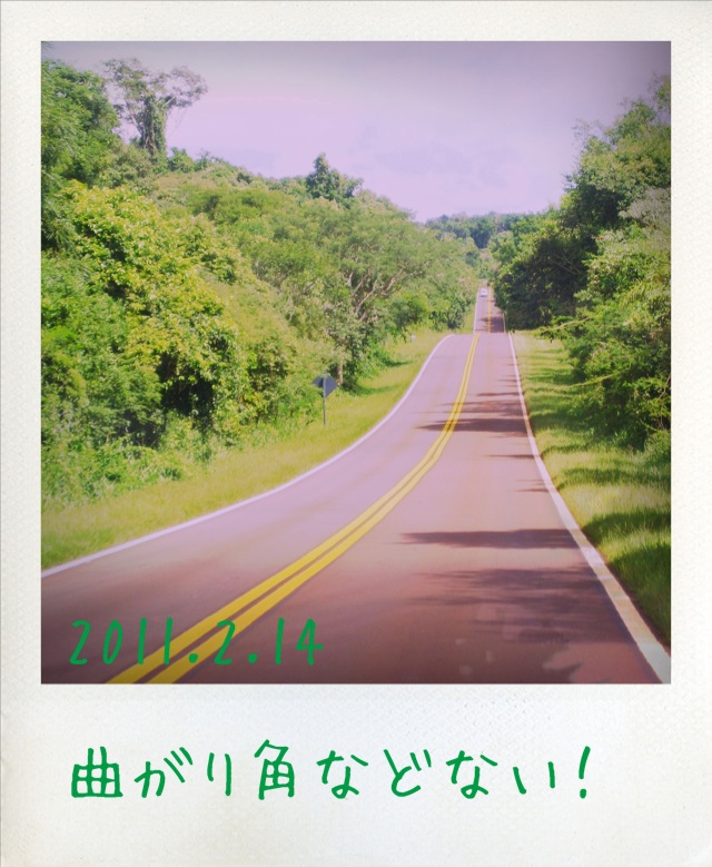 f:id:arco_iris_b:20110309152803j:image:w140