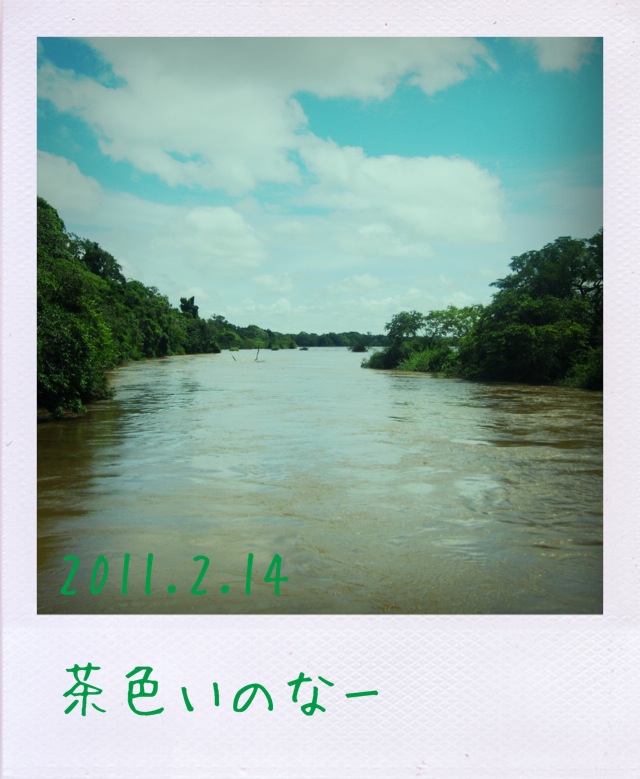 f:id:arco_iris_b:20110309152940j:image:w140