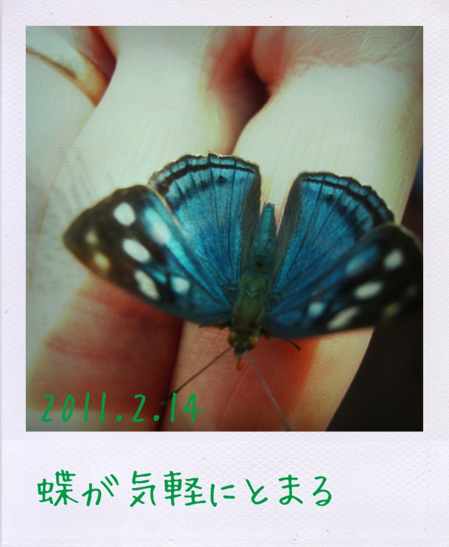f:id:arco_iris_b:20110309153411j:image:w140