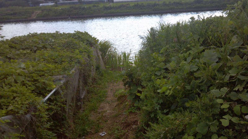 f:id:arcright:20120805150006j:image