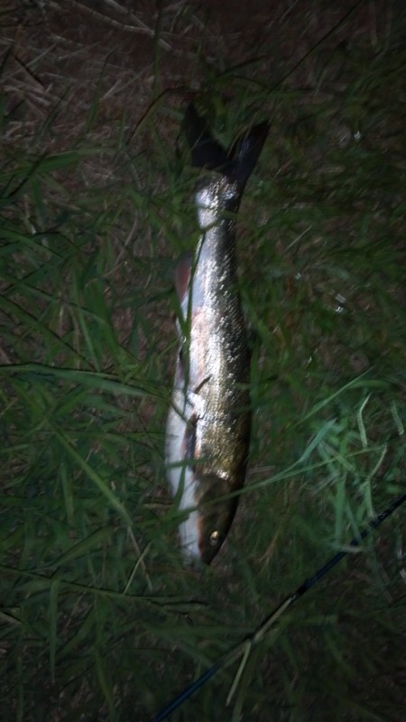 f:id:arcright:20120819205245j:image