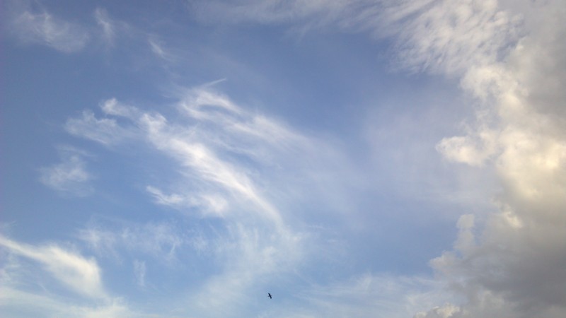 f:id:arcright:20120901161340j:image