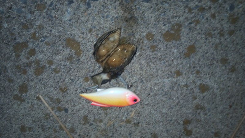 f:id:arcright:20120901203039j:image