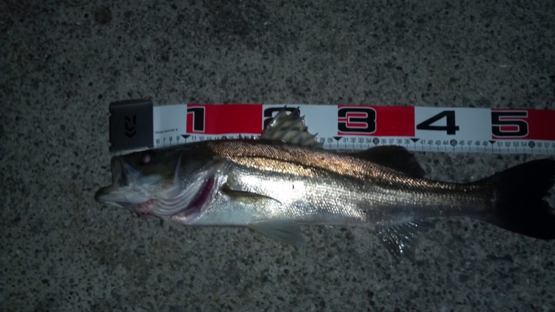 f:id:arcright:20120908195057j:image