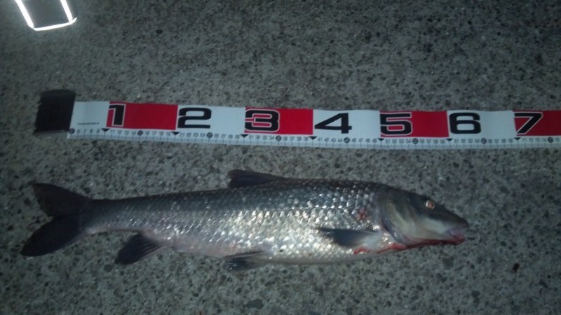 f:id:arcright:20120917203234j:image