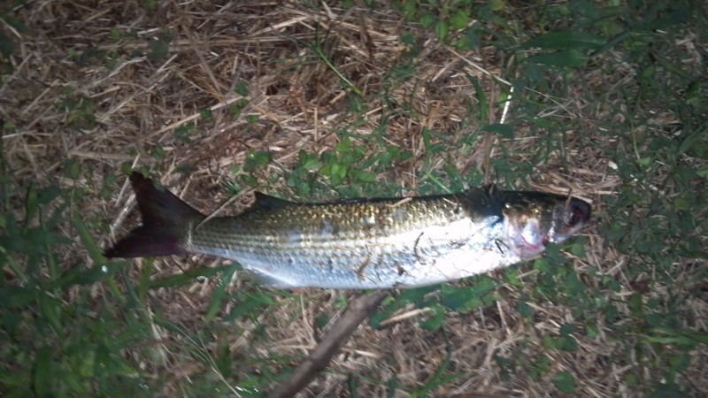 f:id:arcright:20120919230818j:image