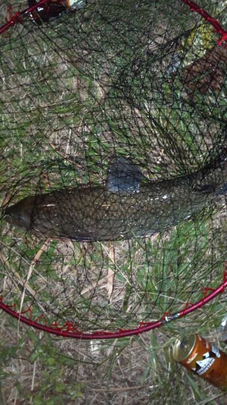 f:id:arcright:20120929182625j:image