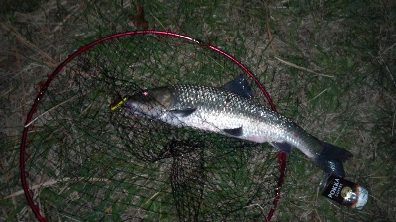 f:id:arcright:20120929194355j:image