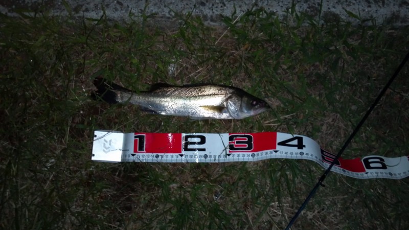 f:id:arcright:20120929202146j:image