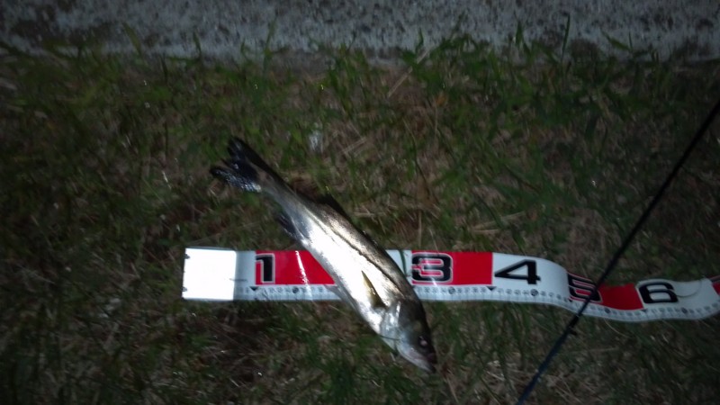 f:id:arcright:20120929202150j:image