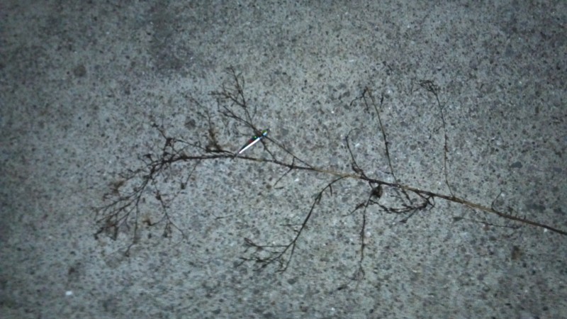 f:id:arcright:20120929203325j:image