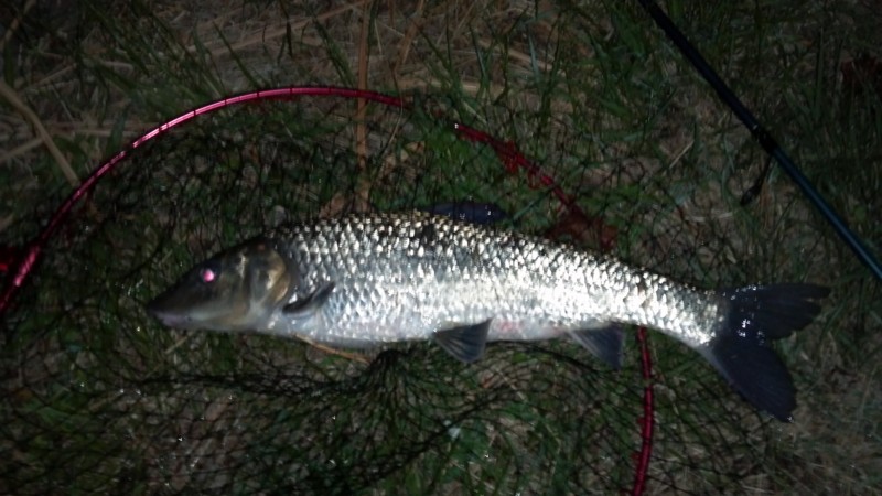f:id:arcright:20120929205935j:image