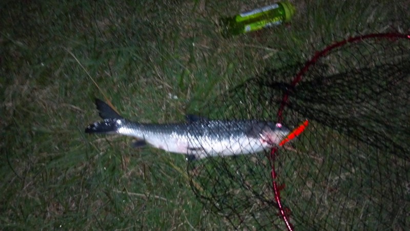 f:id:arcright:20121006201727j:image