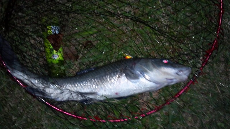 f:id:arcright:20121006202615j:image