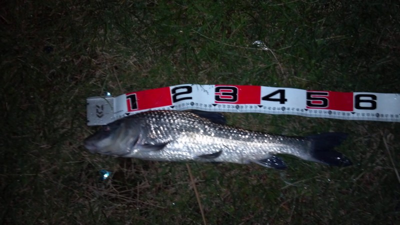 f:id:arcright:20121006202709j:image