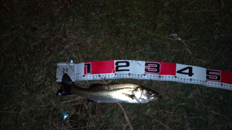 f:id:arcright:20121006214422j:image