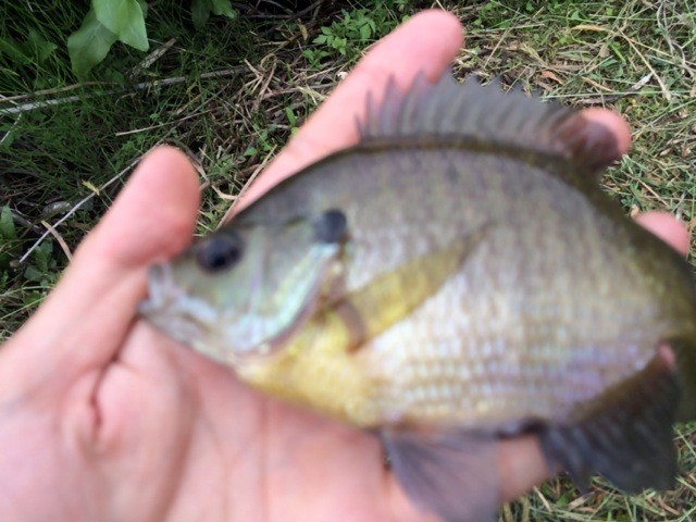 f:id:arcright:20140514161422j:plain