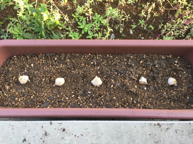 f:id:arcright:20151213033430j:plain