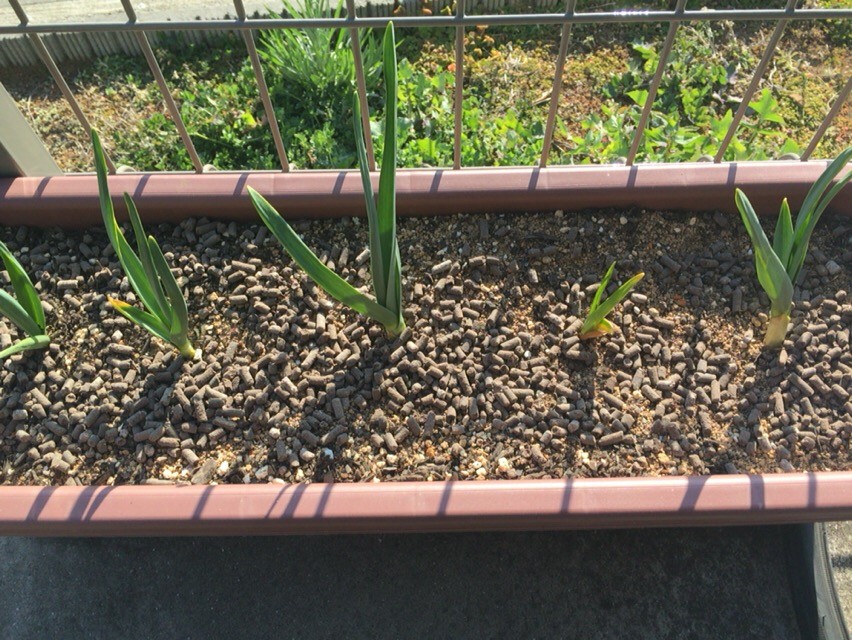 f:id:arcright:20160325201343j:plain