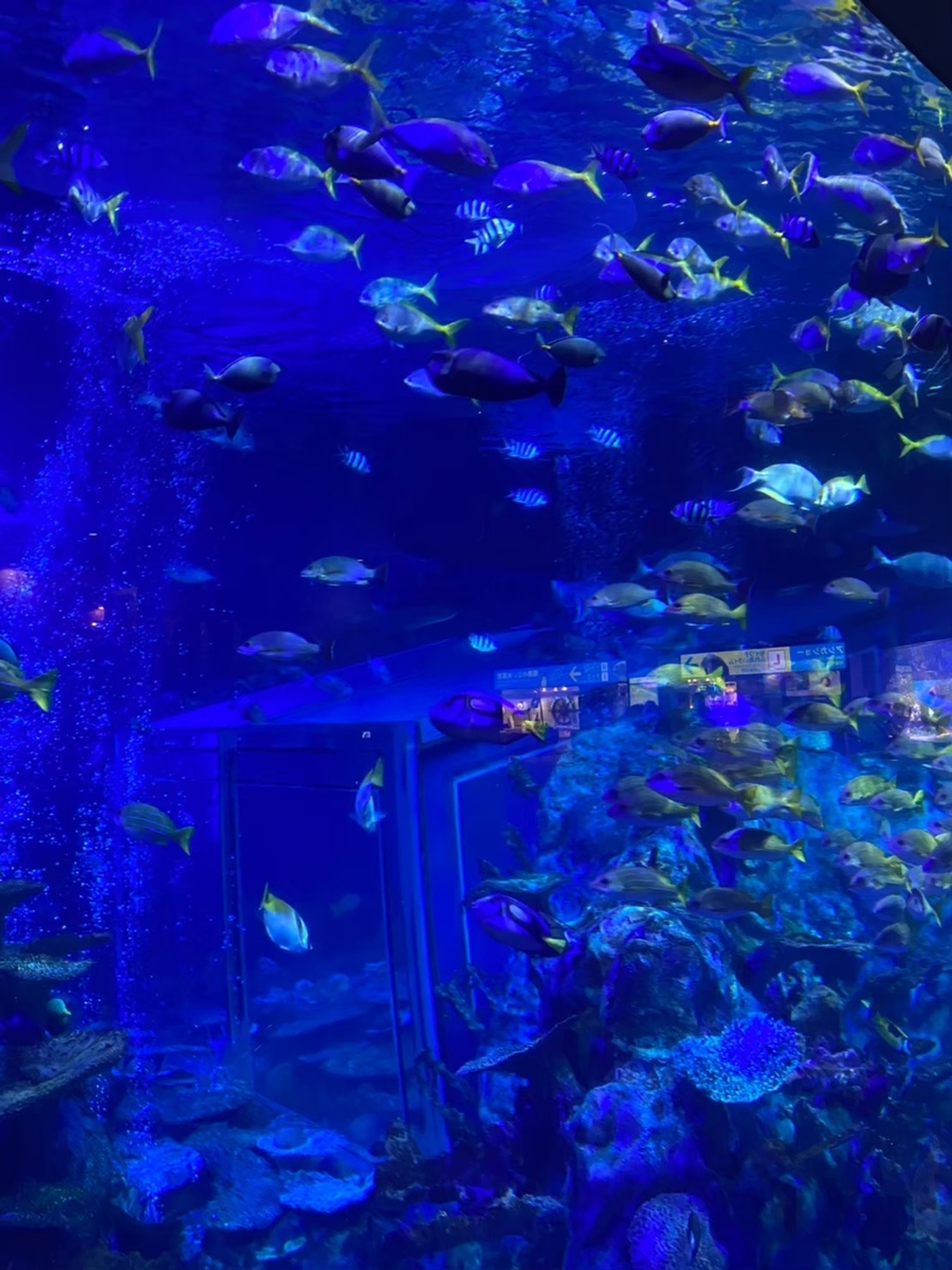 2022年日本帰国日記3】鳥羽水族館 - Somewhere in the Arctic