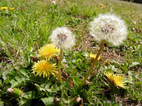 f:id:ardarim:20090419121608j:image
