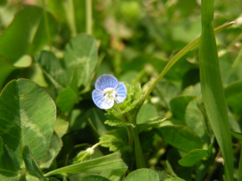 f:id:ardarim:20090419123018j:image