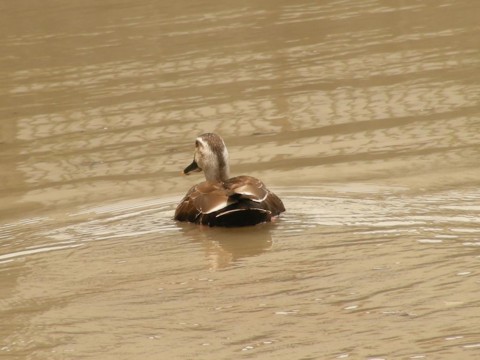 f:id:ardarim:20090613125602j:image