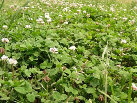 f:id:ardarim:20090613130136j:image