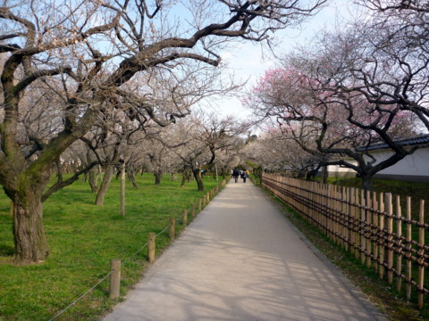 f:id:ardarim:20100322150654j:image
