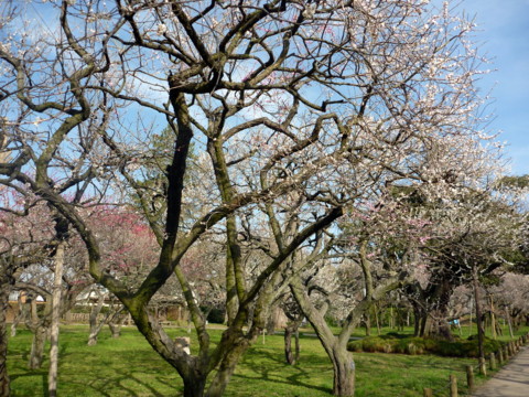 f:id:ardarim:20100322150734j:image