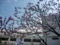 蒲田八幡神社