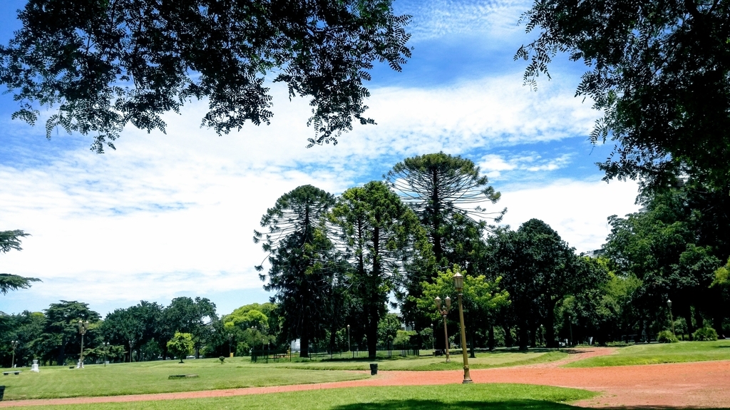 f:id:arditomiko:20190211155102j:plain