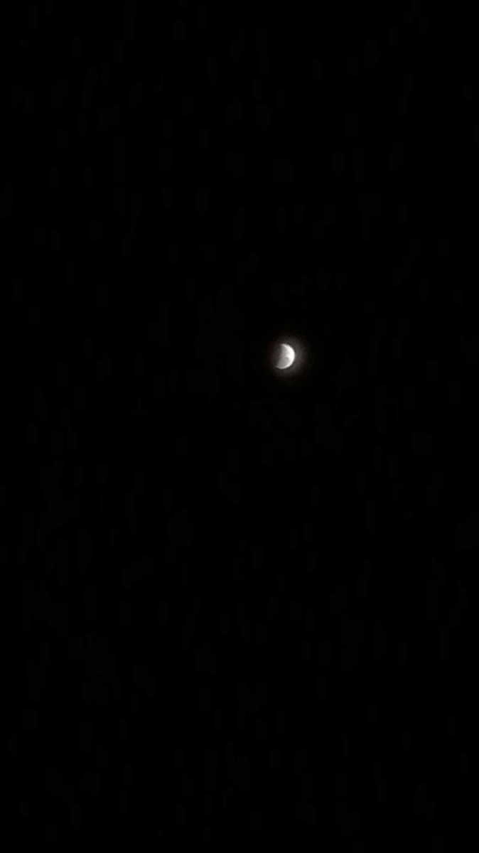 f:id:arditomiko:20190917134454j:plain