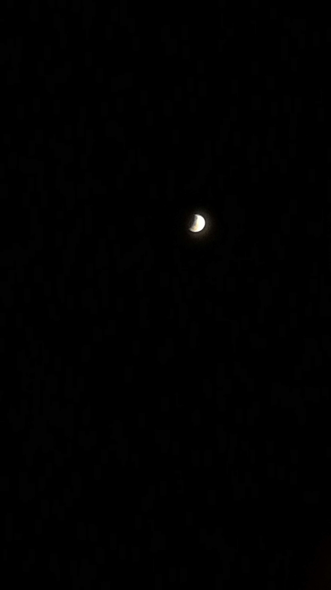 f:id:arditomiko:20190917134959j:plain