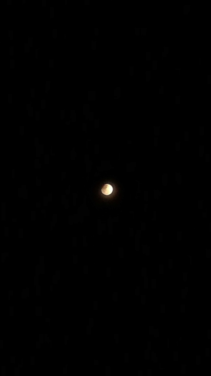 f:id:arditomiko:20190917135033j:plain