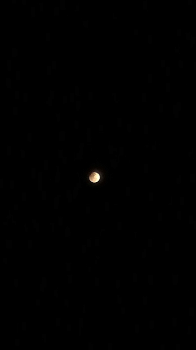 f:id:arditomiko:20190917135047j:plain