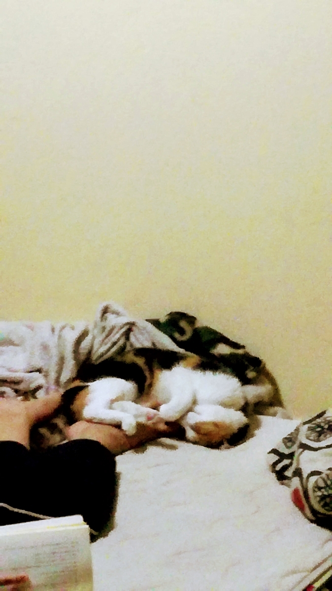 f:id:arditomiko:20190917135148j:plain
