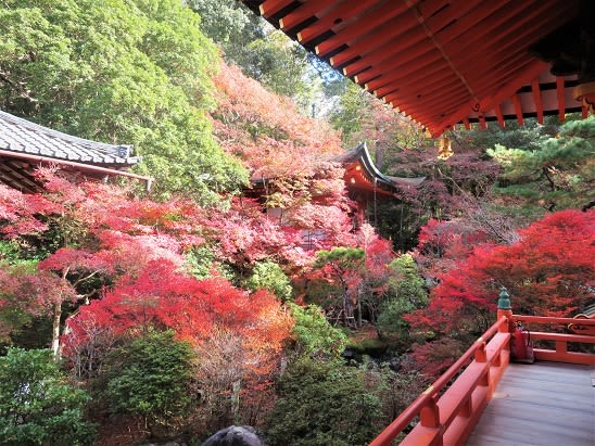 山科・毘沙門堂の紅葉 ② ～弁天堂と晩翠園 - ワンダースター（彷徨星）★トレック