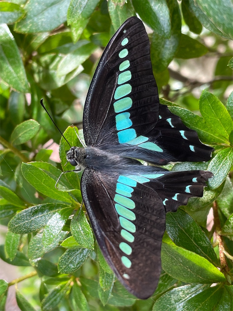 f:id:arekoreken:20231003173724j:image f:id:arekoreken:20231003173724j:image